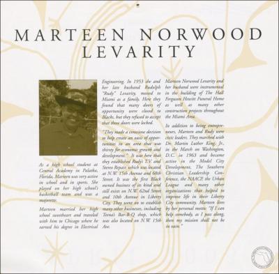 2003_2004_007a_Marteen_Norwood_Levarity