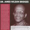 2009_2010_011a_James_Wilson_Bridges